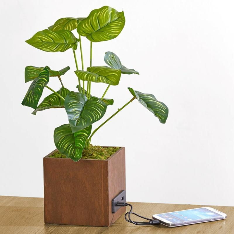 Artificial House Plant With Usb Port  |   Wreaths & Florals Home Decor Wreaths & Florals